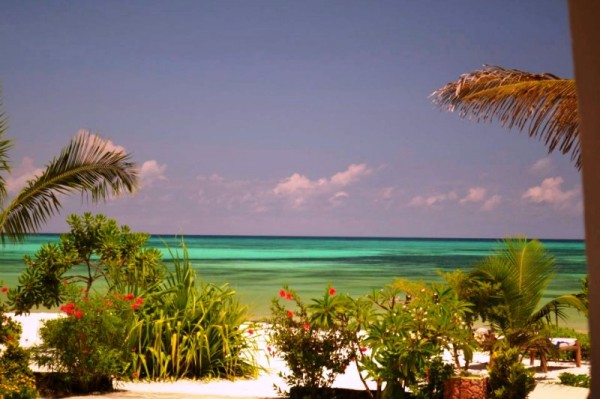 Next Paradise Boutique Resort Zanzibar