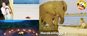 viaggi-zanzibar-haraka-viaggi