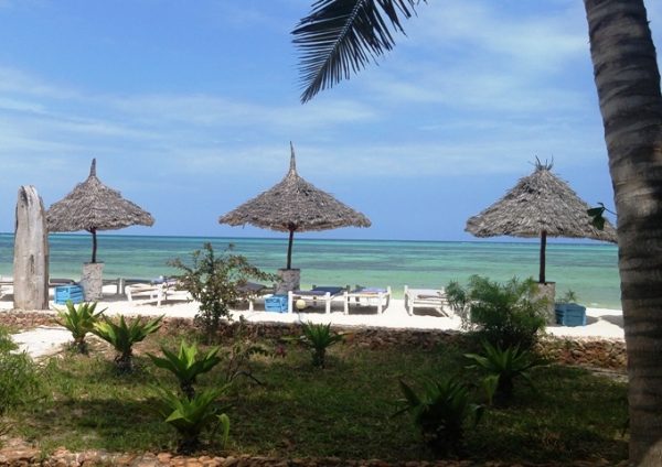 Haraka Viaggi Waikiki